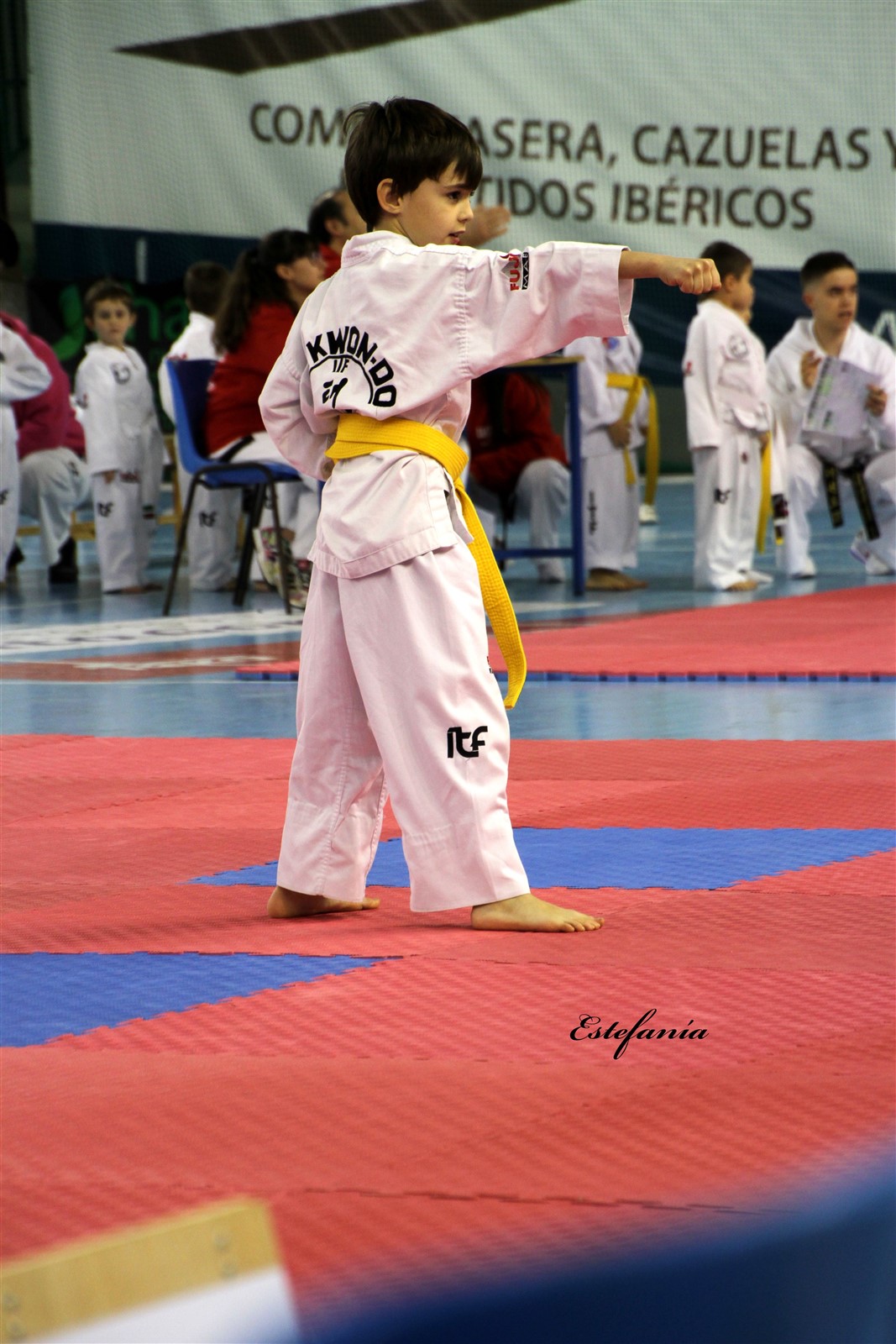 Taekwondo (48).jpg